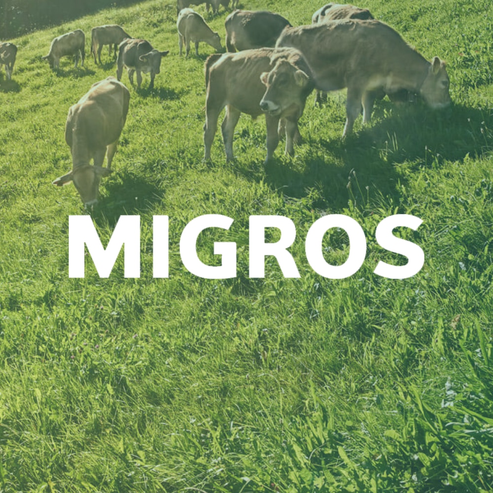 Migros – Logo Sonore De La Région – Visuel Projet – 1